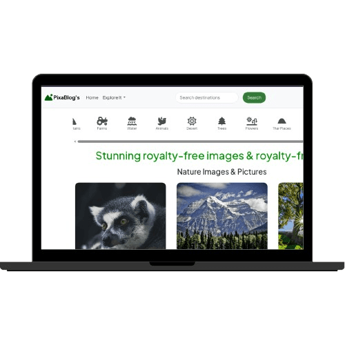 Nature-Focused Blogging Platform